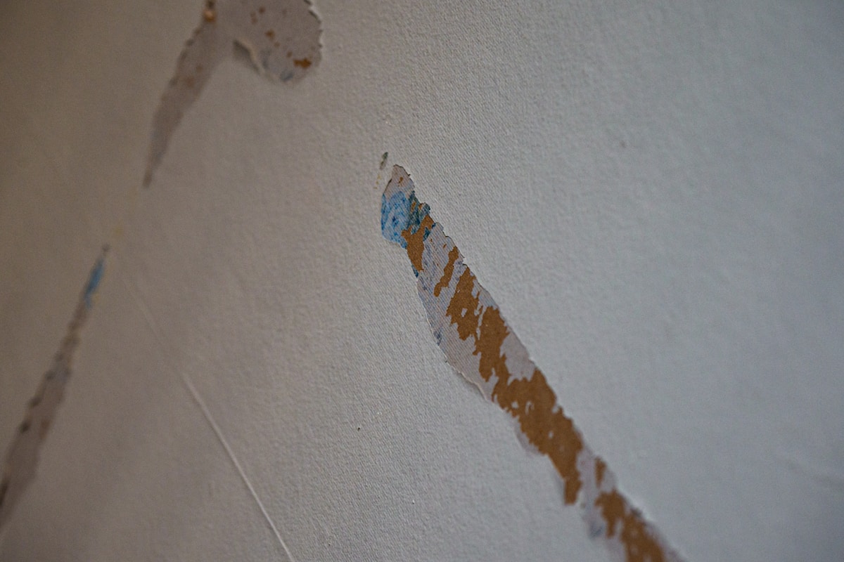 Flood Cleanup service in Berwyn, IL